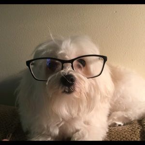 Meet your Posher, Isismary